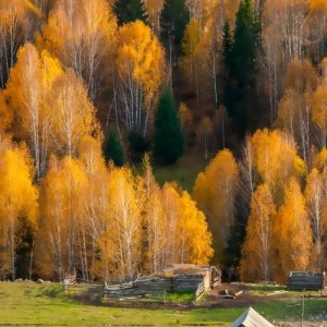 玩转北疆自然盛宴，赴一场雪山湖泊与草原的约会